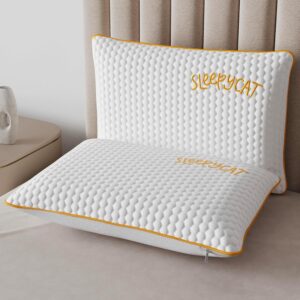 SleepyCat Orthopaedic Memory Foam Pillow
